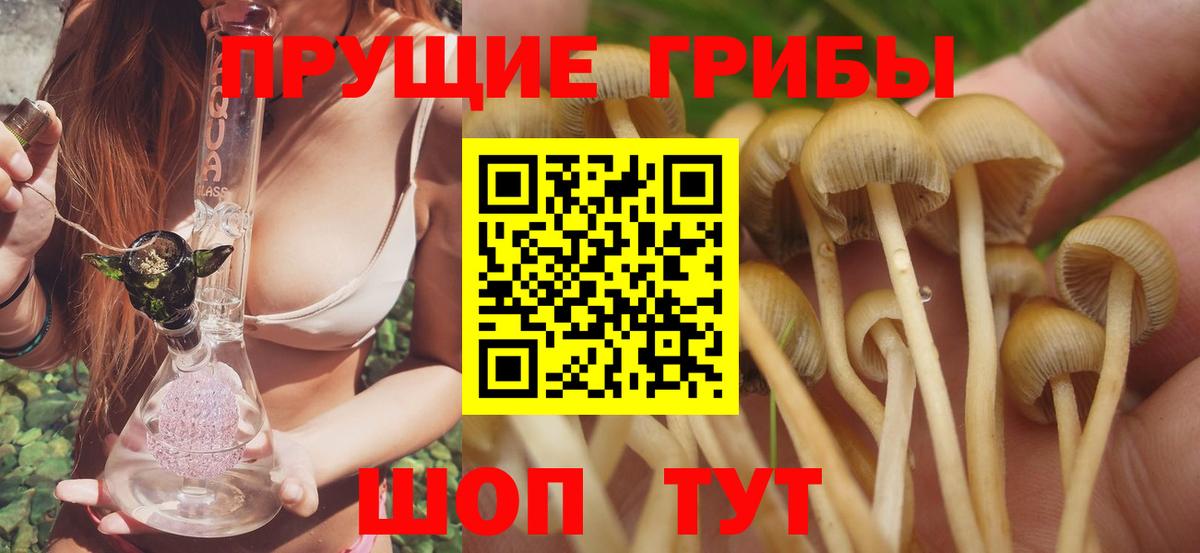 Псилоцибиновые грибы Psilocybe Корсаков
